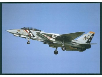 US Navy, F-14 Tomcat