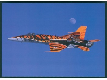 Luftwaffe Kanada, CF-18 Hornet