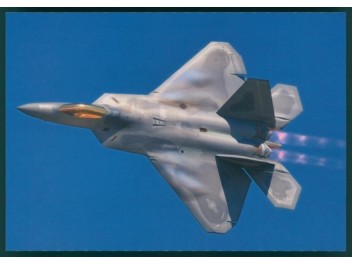 USAF, F-22 Raptor