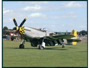 P-51 Mustang, propriété privée