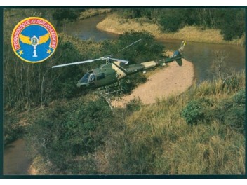 Armée de l'air Brésil, Fennec