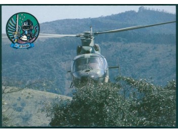 Armée de l'air Brésil, Panther
