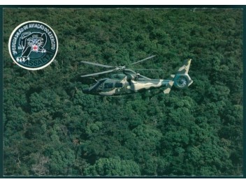 Armée de l'air Brésil, Panther