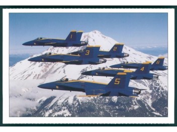 USAF, F/A-18 Hornet