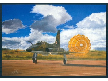 Luftwaffe Brasilien, F-5...