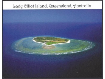 Lady Elliot Island:...