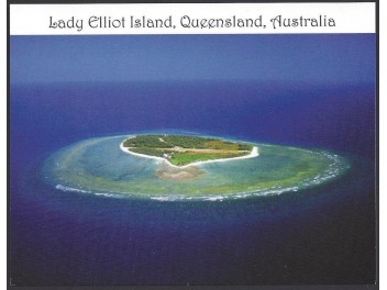 Lady Elliot Island: vue...