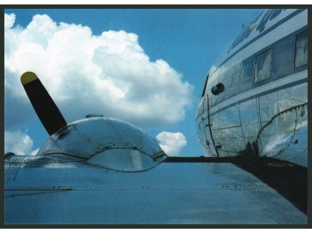 Air Queensland, DC-3