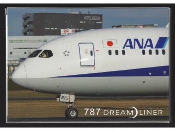 Set Boeing 787 Dreamliner,...