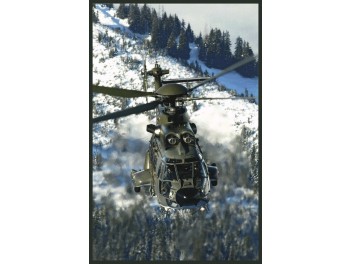 Armée de l'air Suisse, Cougar
