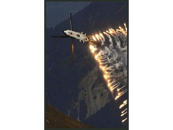 Luftwaffe Schweiz, Cougar
