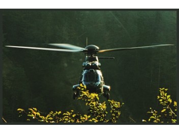 Armée de l'air Suisse,...