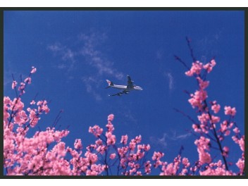 Narita: JAL, B.747