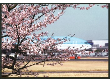 Narita: Korean Air, B.777