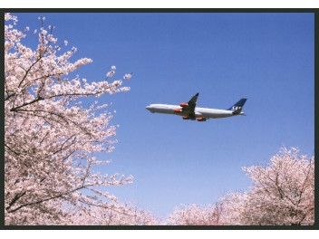 Narita: SAS. A340