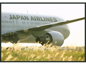Narita: JAL, B.767