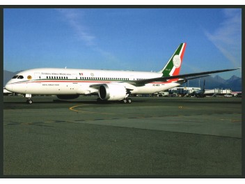 Armée de l'air Mexique, B.787