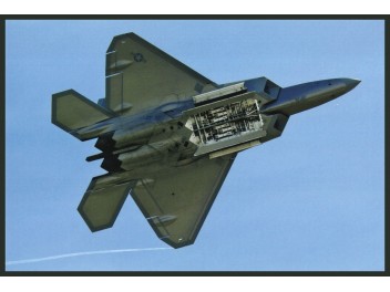 USAF, F-22 Raptor