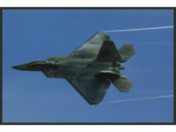 USAF, F-22 Raptor