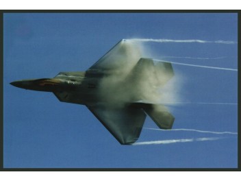 USAF, F-22 Raptor