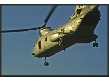 US Navy, CH-46 Sea Knight