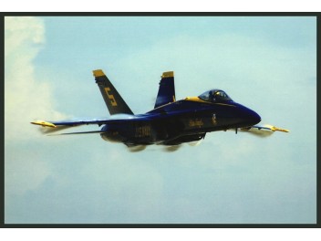 Blue Angels, F/A-18 Hornet