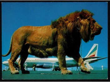 Ethiopian, B.707, lion with...