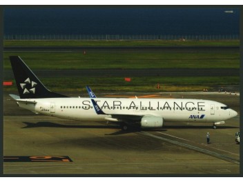 ANA/Star Alliance, B.737