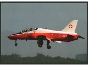 Luftwaffe Schweiz, Hawk