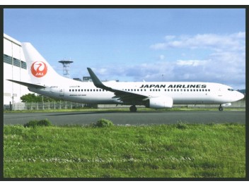 Japan Air Lines, B.737