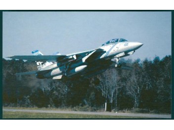 Luftwaffe USA/Navy, F-14...