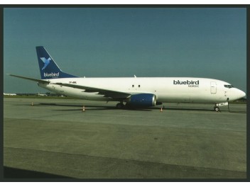 Bluebird Nordic, B.737