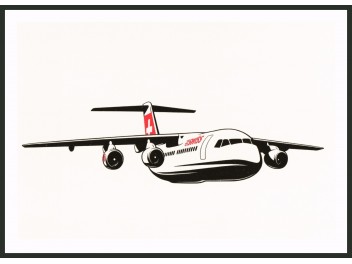 Swiss, Avro RJ100 (V2)