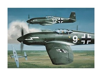 Air Force Germany, He 100