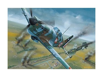 Luftwaffe Frankreich, MS.406