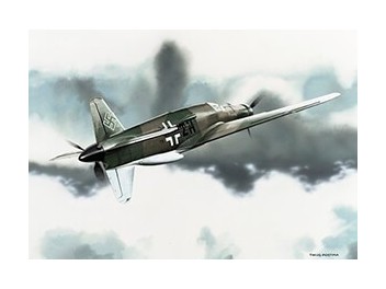 Luftwaffe Deutschland, Do 335
