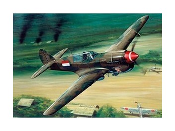 Luftwaffe Ostindien, P-40...