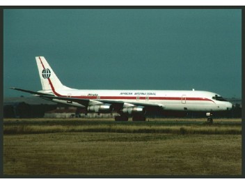 African International