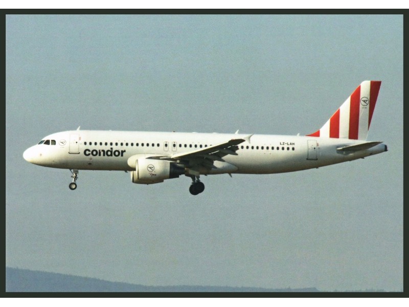 Condor