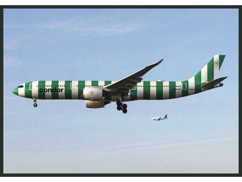 Condor