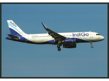 IndiGo