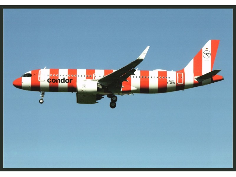 Condor